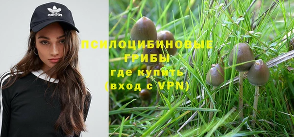 дживик Дмитровск