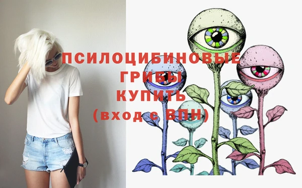 дживик Дмитриев