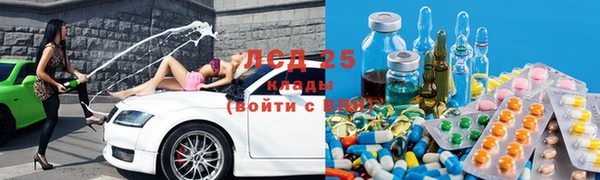 мяу мяу мука Дмитров