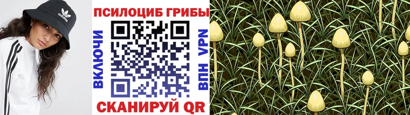 Галлюциногенные грибы мицелий  сайты даркнета клад  Шарья 